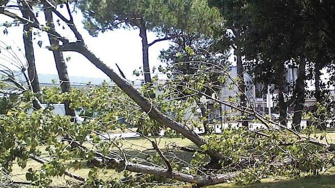 Un altro crollo su viale Kennedy