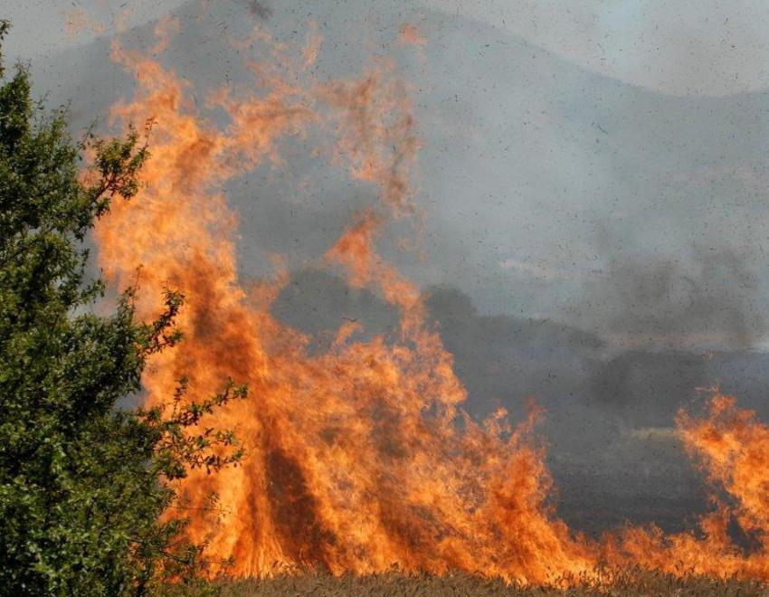 Va a fuoco la campagna L’incendio sfiora le case