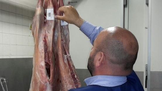 «Agnelli con falso marchio di qualità»