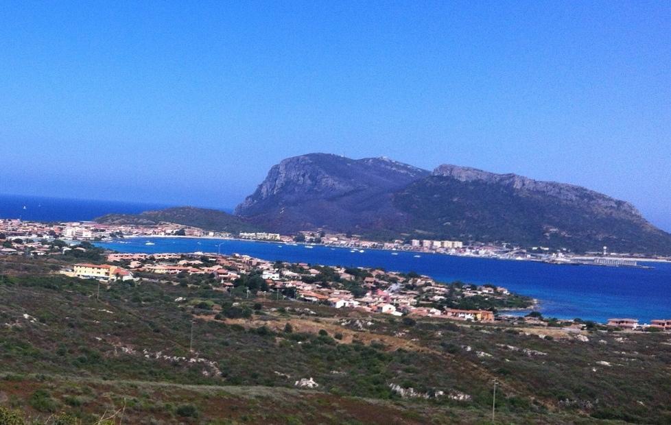 Puc di Golfo Aranci, Fasolino pubblica il piano sul Buras 