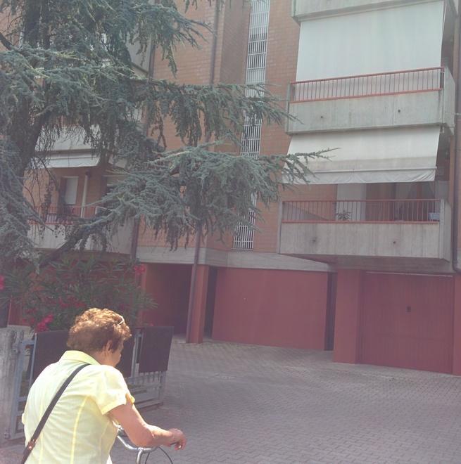 I ladri acrobati della notte la derubano mentre dorme