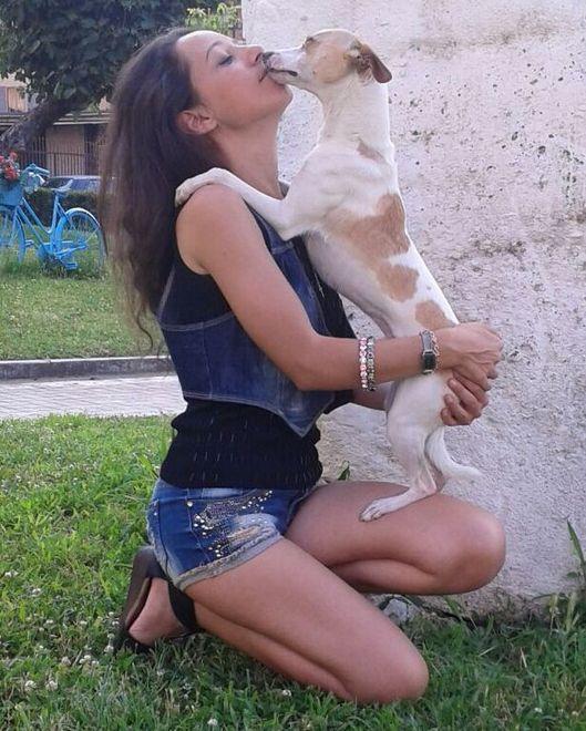 Il cane Stich in ostaggio, salvato da una guardia zoofila
