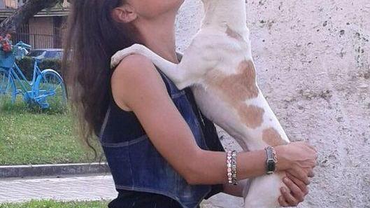 Il cane Stich in ostaggio, salvato da una guardia zoofila