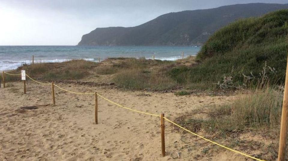 Telecamere anti vandali, le dune sono al sicuro
