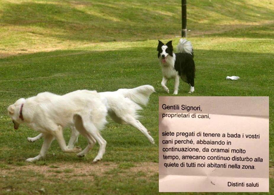 «Tenete a bada i vostri cani» Lettera anonima crea allarme 