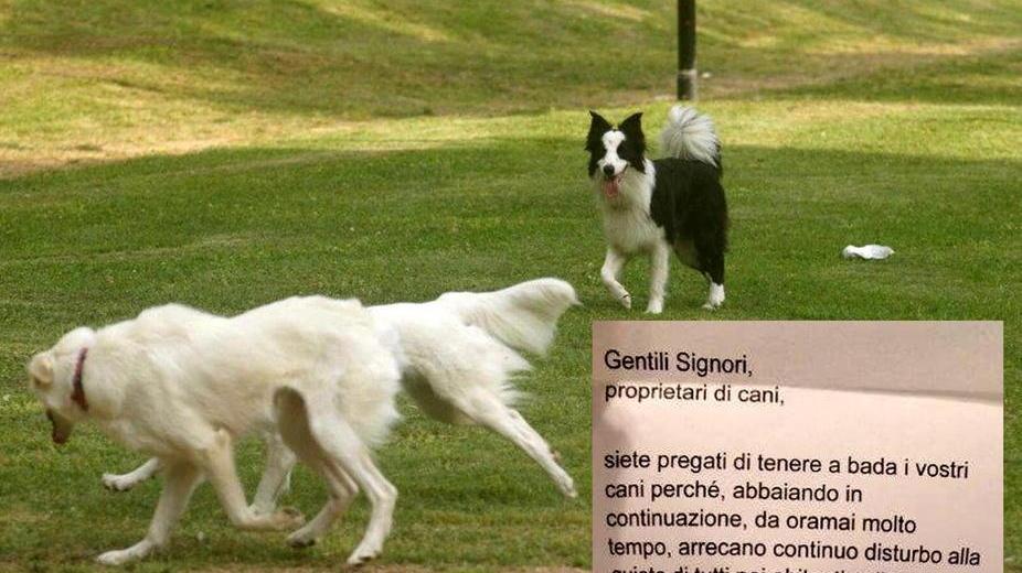 «Tenete a bada i vostri cani» Lettera anonima crea allarme