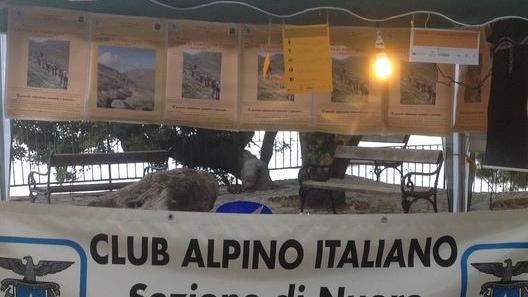 Un mercato aperto per il turismo