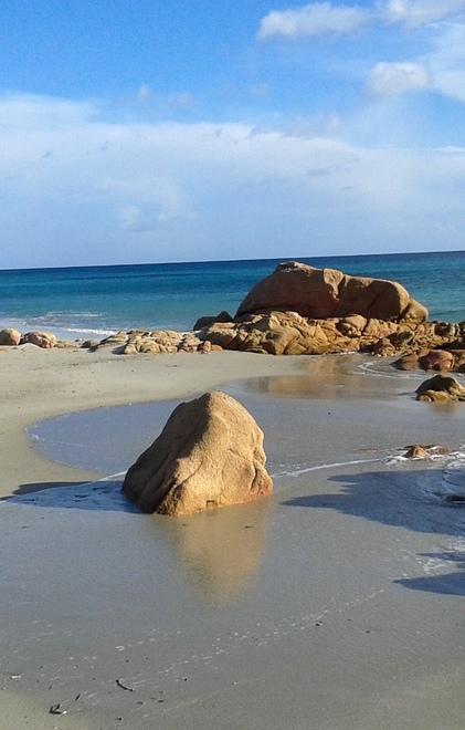 Ticket in spiaggia, è già polemica 
