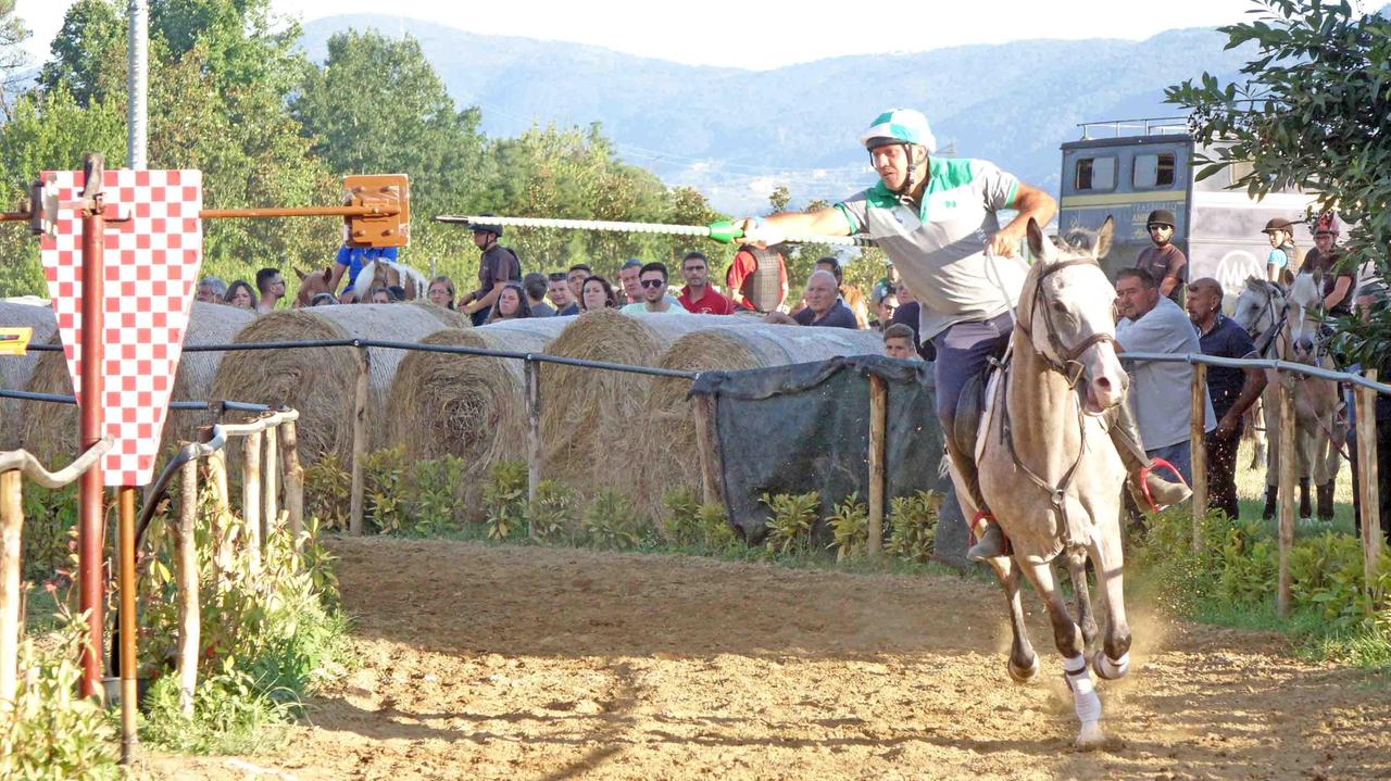 Un cavaliere durante la prova sull'ovale di Montesecco (Foto Gori)