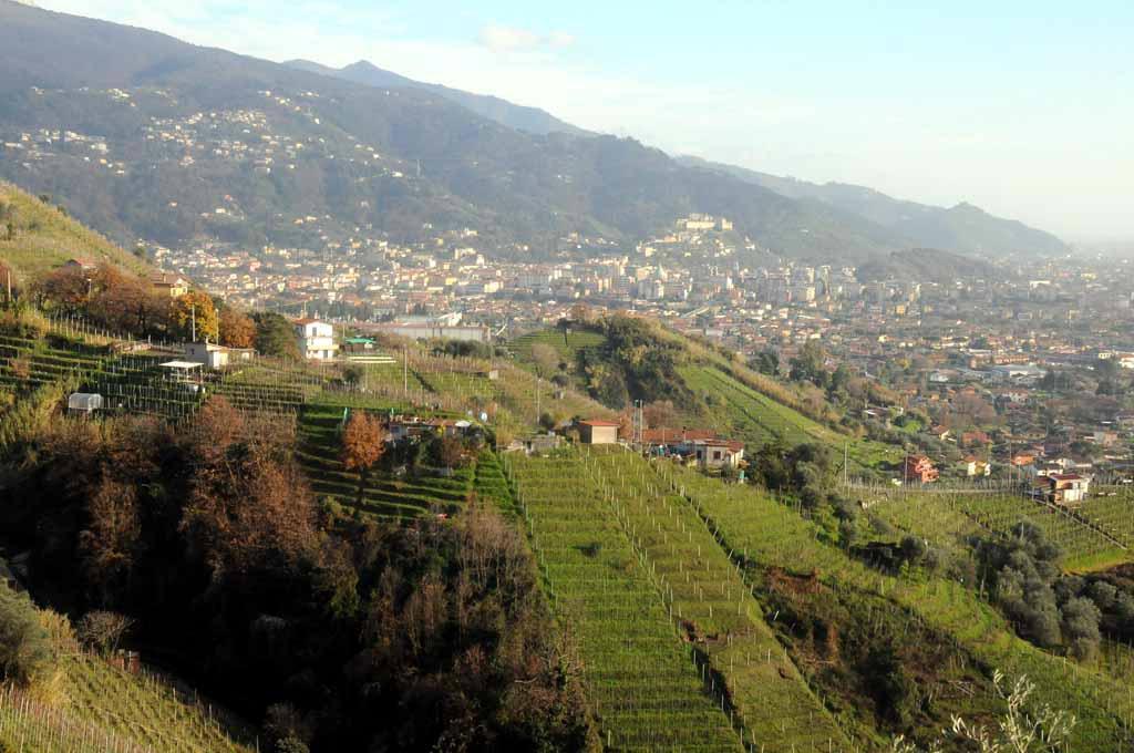 Candia, mega progetto da 13,5 milioni 