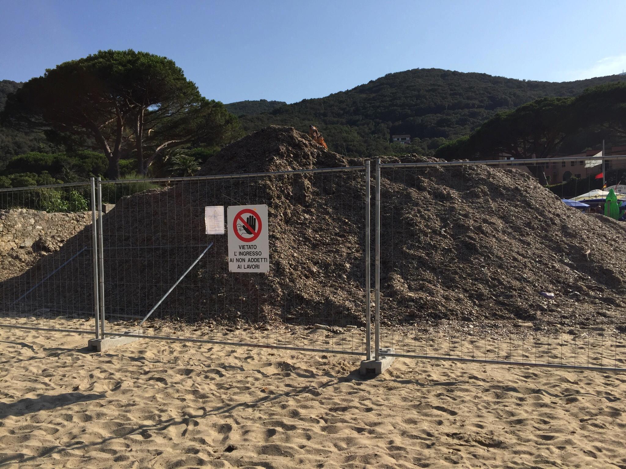 La montagna di alghe sulla spiaggia di Spartaia