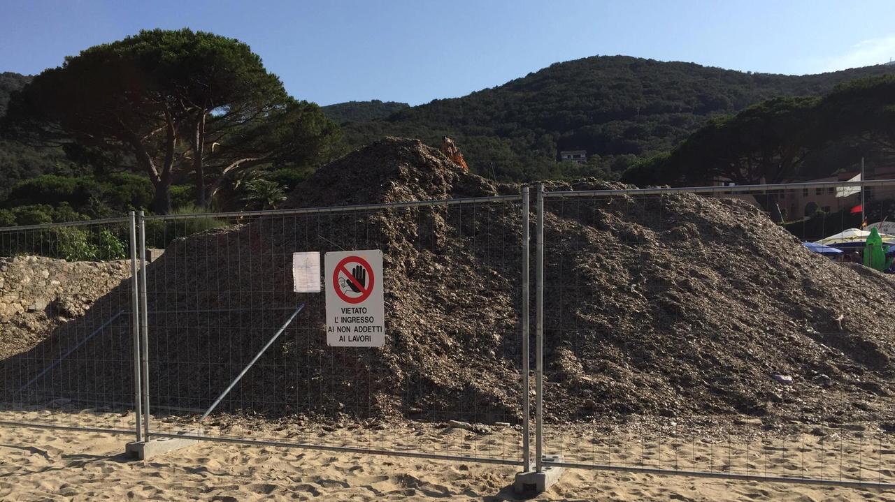 La montagna di alghe sulla spiaggia di Spartaia