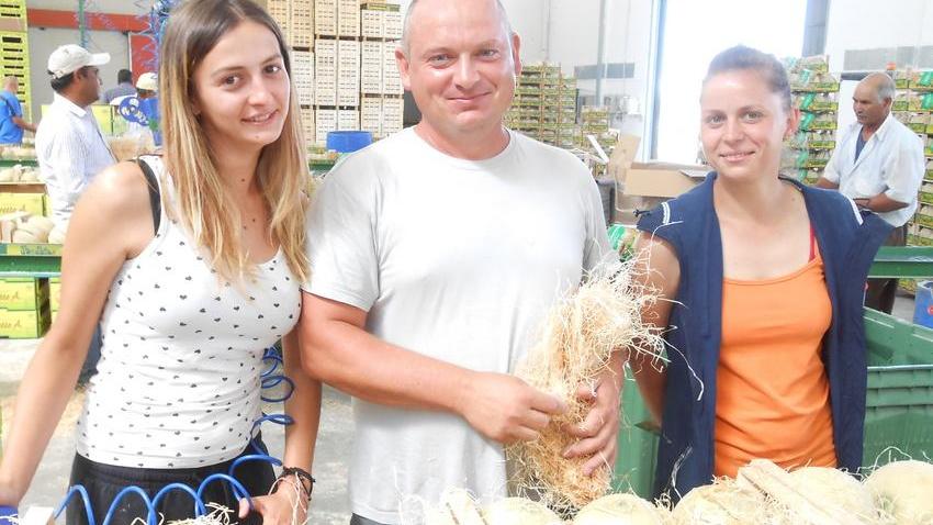 Angurie e meloni i gioielli della Bassa modenese principi dell’estate