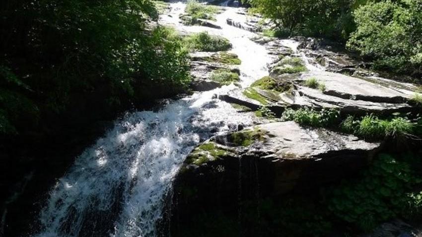 Un tappeto di fiori tra le cascate e il Libro Aperto
