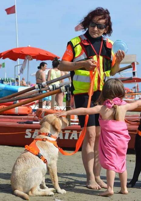 Dagli animali alla Corrida per intrattenere grandi e piccoli