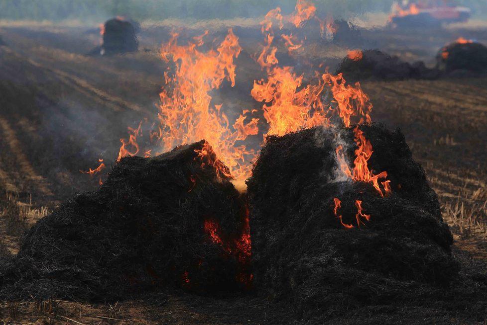A fuoco un terreno agricolo Devastate decine di rotoballe 