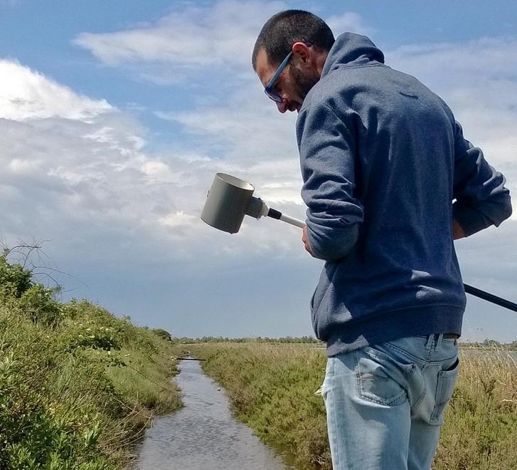 Zanzare, è un anno nero Lotta a colpi di algoritmi 