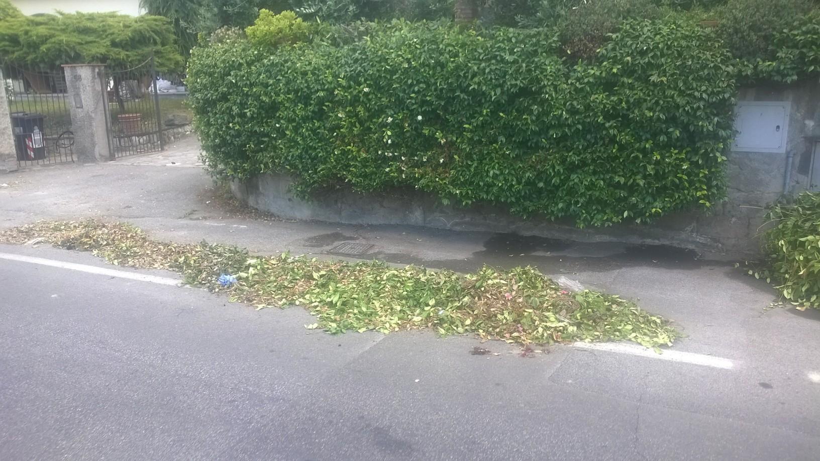 Cumuli di erbacce in via Cava