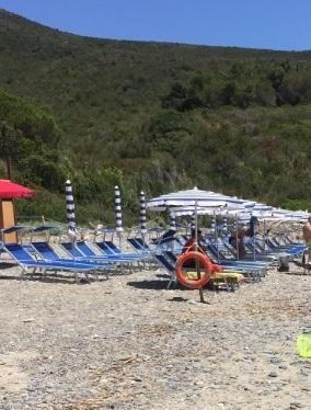 Via i gigli per fare posto al punto blu 