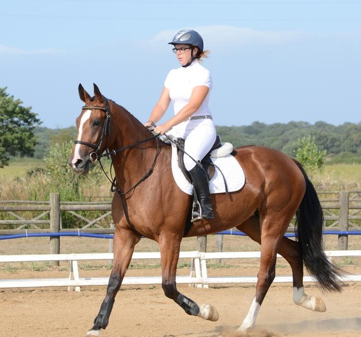 Quattro giorni dedicati all’ippica di livello nazionale 