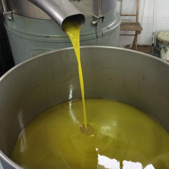 Olio extravergine di oliva Fois, garanzia di qualità e produzione