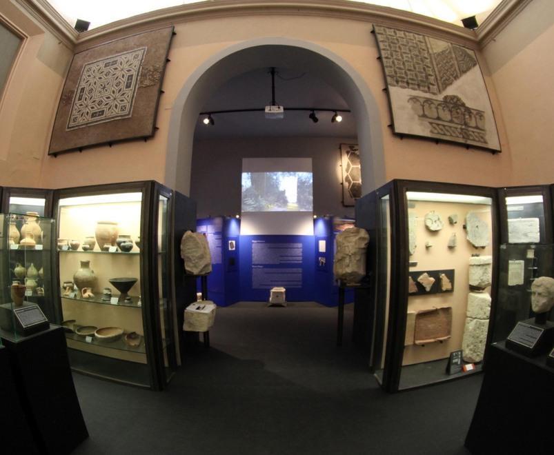 Musei, anche senza funghi Rota curerà l’allestimento 