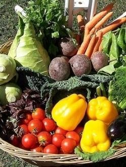 Le ordinanze: cosa fare e cosa no 