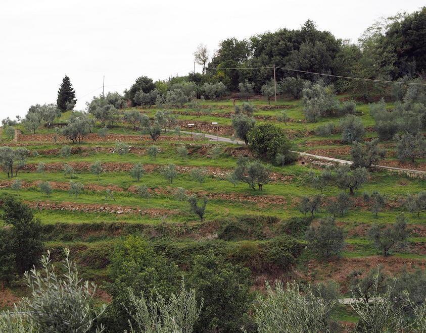 Coldiretti lancia l’Sos «Raccolte sospese e agriturismi nei guai» 