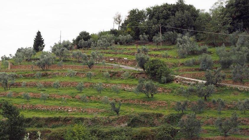 Coldiretti lancia l’Sos «Raccolte sospese e agriturismi nei guai»