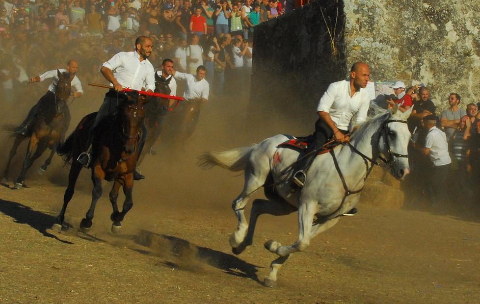 Un cavaliere cade, è grave 