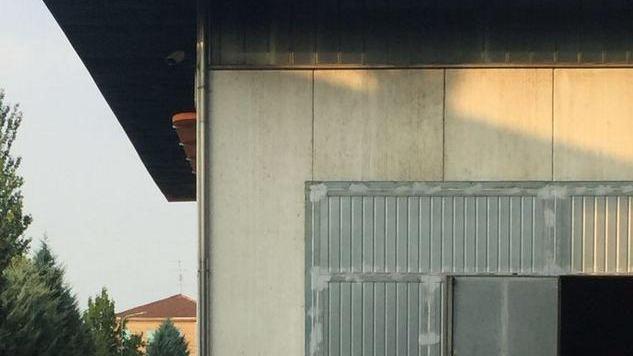 Grossi topi invadono il centro storico