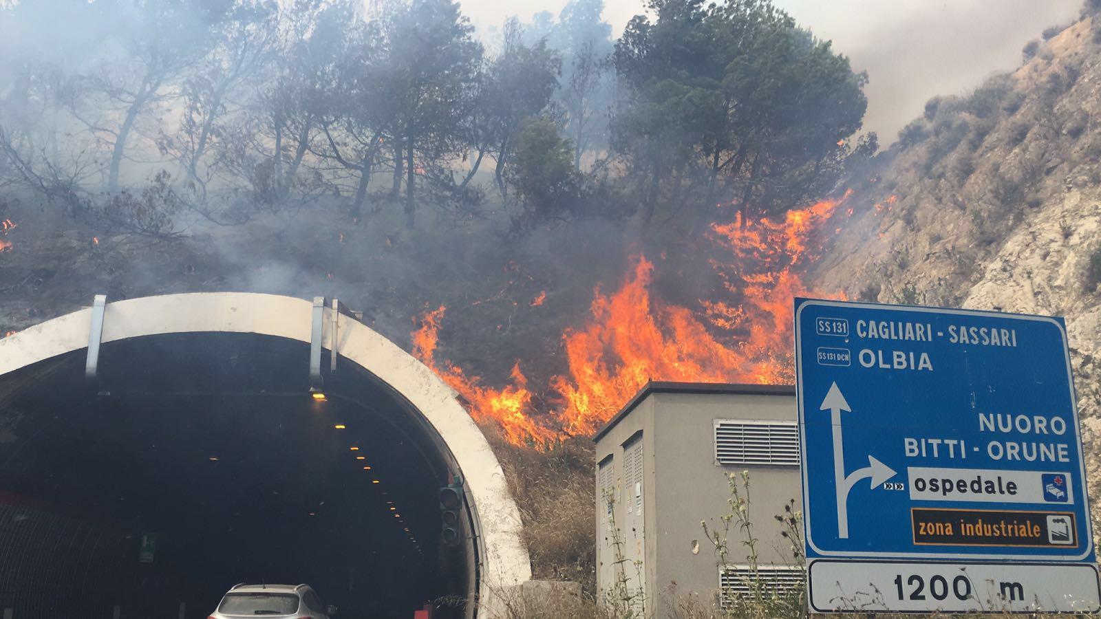 L'incendio alle porte di Nuoro (foto Gigi Deidda)
