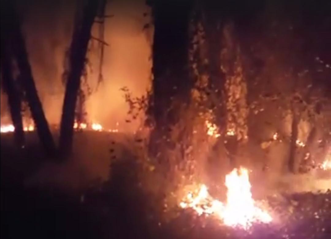 L'incendio in pinera