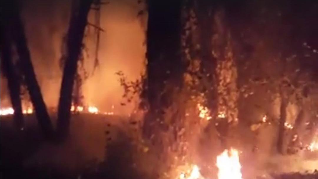 L'incendio in pinera