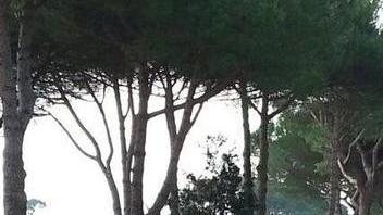 Sport e natura, la ricetta di Fratoni per San Rossore