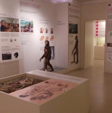 Museo archeologico chiuso ai turisti Scoppia la polemica 