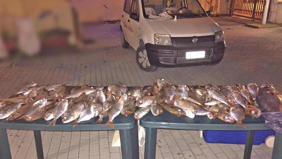 Sequestrati al largo 40 chili di paraghi