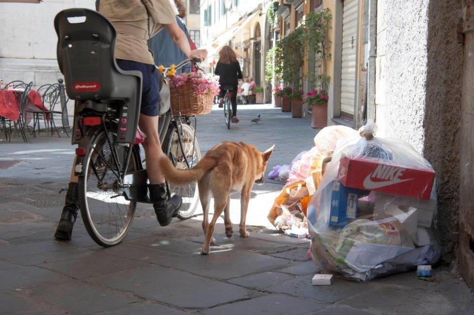 Niente ritiro spazzatura l’11 e il 12 Sa: «Non esponete l’immondizia»