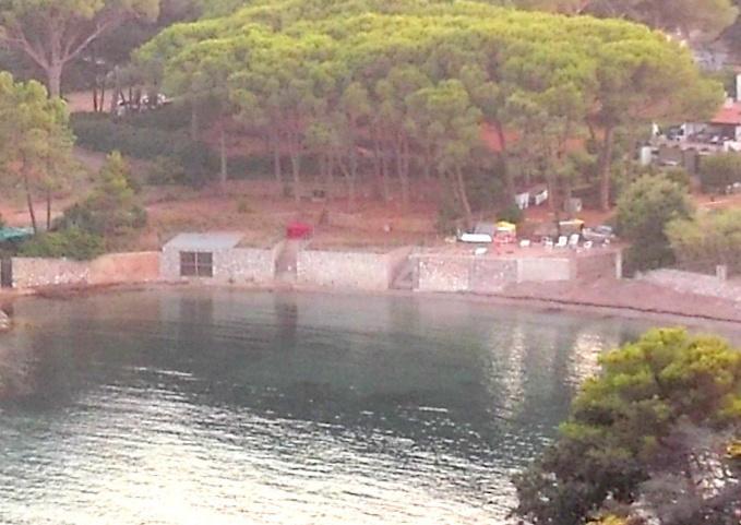Spiagge, erosione e posidonia «Ora un piano condiviso»