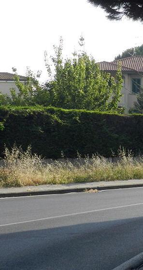 Erba alta a lato delle strade e rifiuti accumulati 