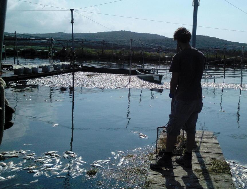 La laguna di Orbetello è stabile 