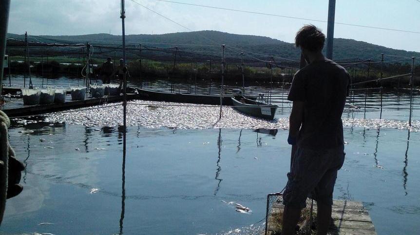 La laguna di Orbetello è stabile