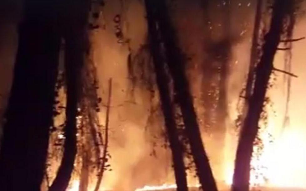 A fuoco la Pineta di Levante Si teme la mano di un piromane 