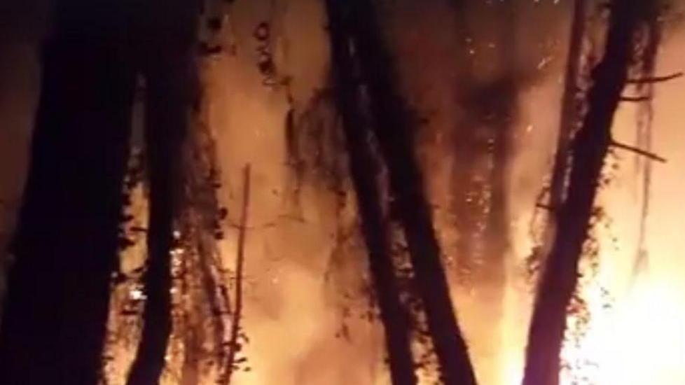 A fuoco la Pineta di Levante Si teme la mano di un piromane