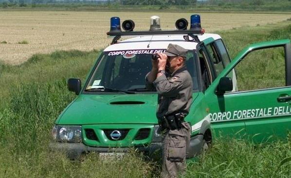 Forestali finiti nei guai a quattro mesi dal congedo 