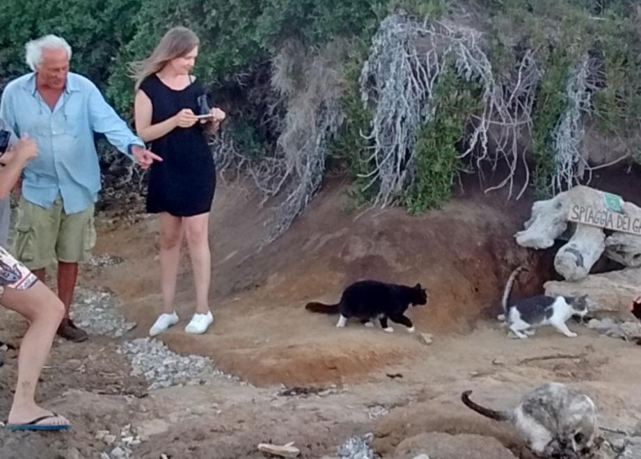  Benni in visita alla colonia felina