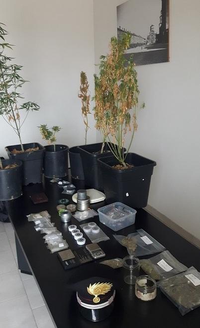 Giovane studente arrestato per spaccio di stupefacenti 