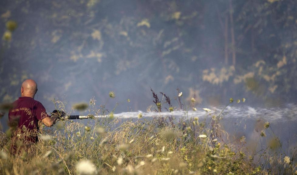 Ecomafia, record di illeciti nel Sassarese 