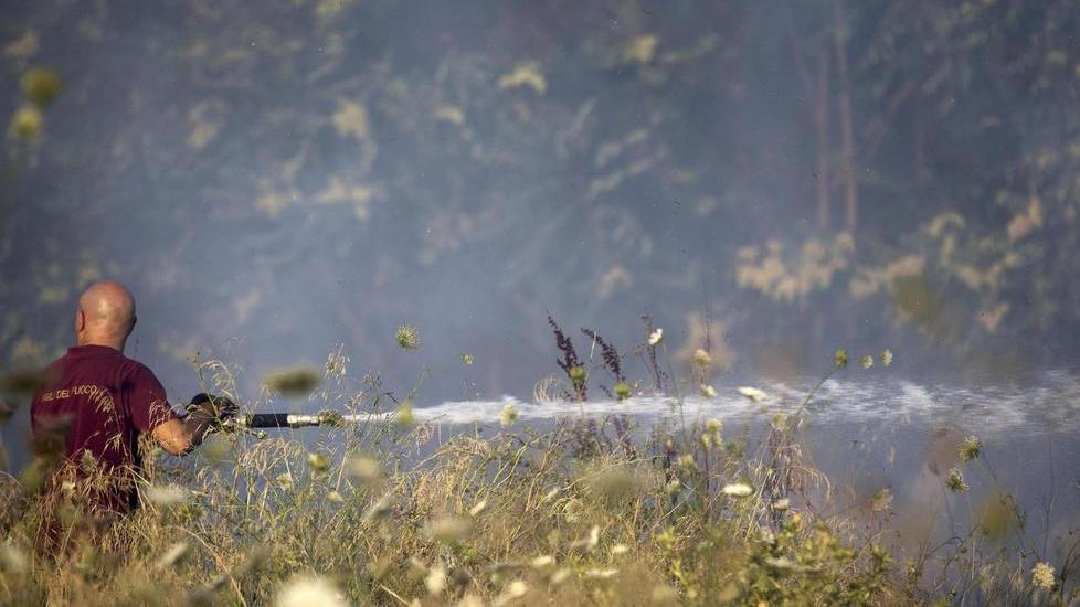 Ecomafia, record di illeciti nel Sassarese