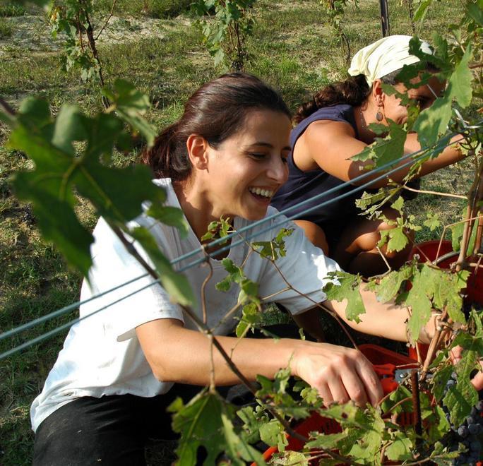 I giovani coltivatori di Coldiretti crescono “digital” 